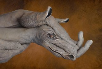 Rhino - Ph. M.J. Daniele